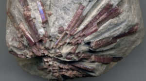 Lithia pegmatite with rubellite tourmaline in lepidolite mica matrix