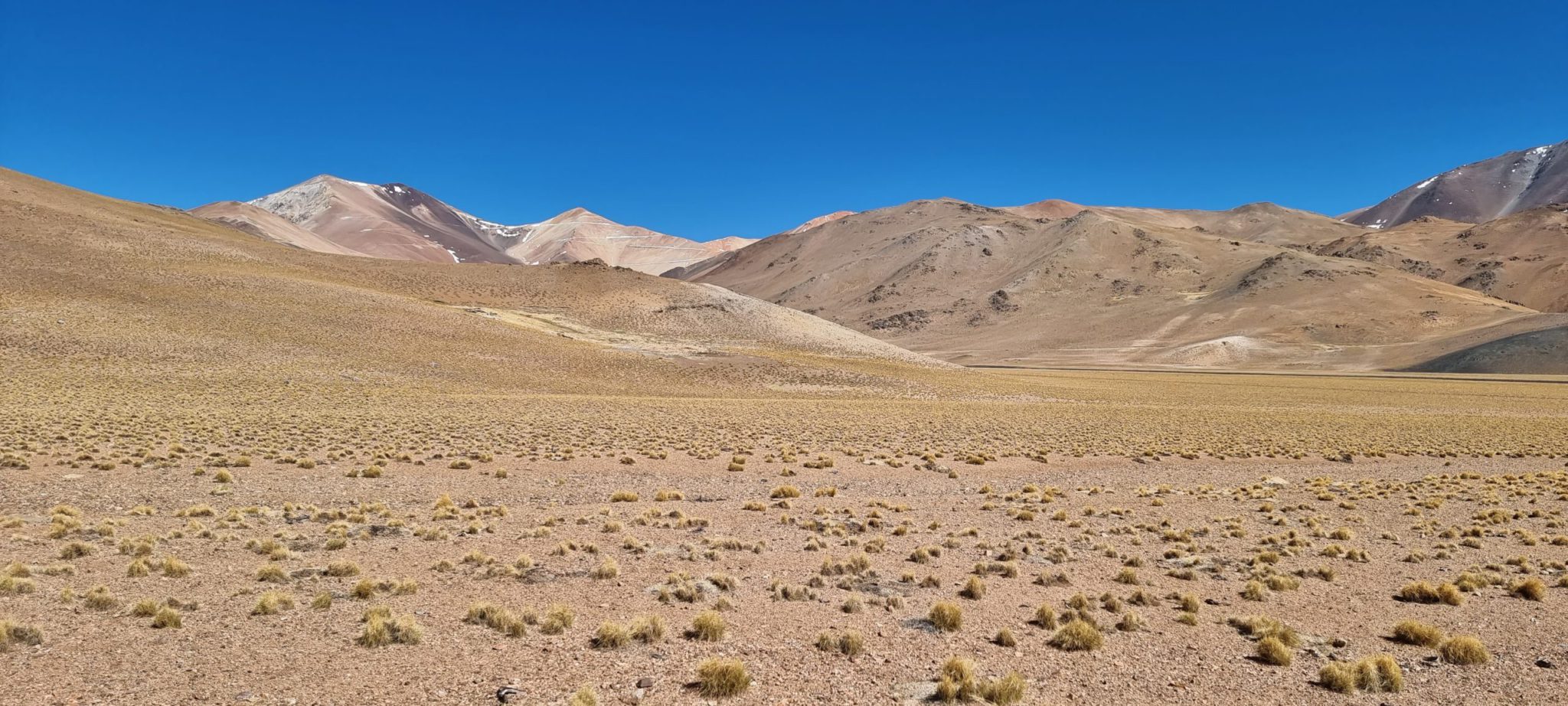 AbraSilver farms out La Coipita project in Argentina to Teck - MINING.COM