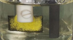 Coated cloth with accumulated uranium from uranium-spiked seawater