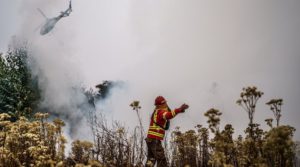 Firefighters working in Valparaiso, Chile on February 4, 2024.