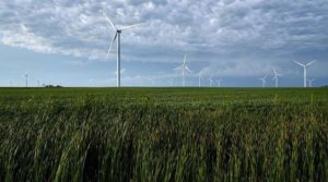 Wind turbines over soy field in the US