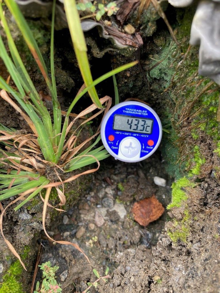 The researchers also recorded soil temperature at sampling sites near the Centralia mine fire. The temperature at this site reads 43.3 degrees Celsius.