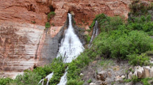 Vasey’s Paradise spring on the Colorado River shows water gushing out of the limestone aquifer.