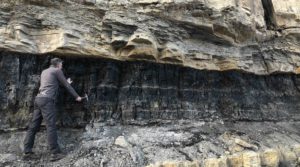 Michael Vanden Berg, geologist with the Utah Geological Survey, examines a coal outcrop near Utah's old Star Point mine.