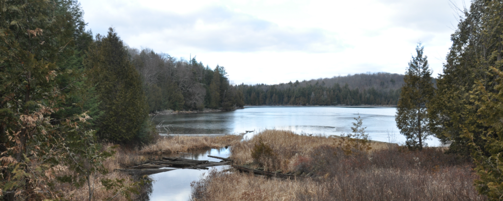 Lomiko Graphite Project La Loutre Quebec