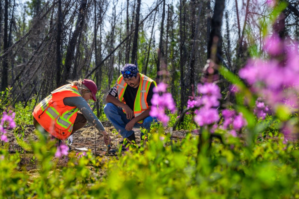 LI-FT Power Yellowknife Lithium Project NWT